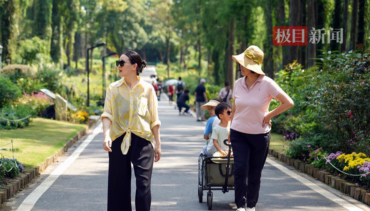 9818连环夺宝游戏大厅